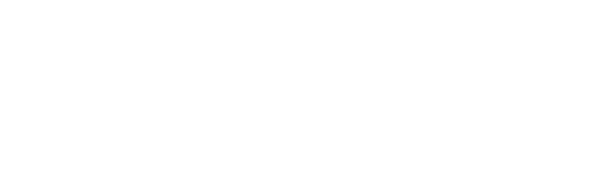 Government Business